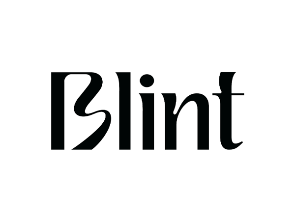 Blint Logo, Blint Creative and development agency